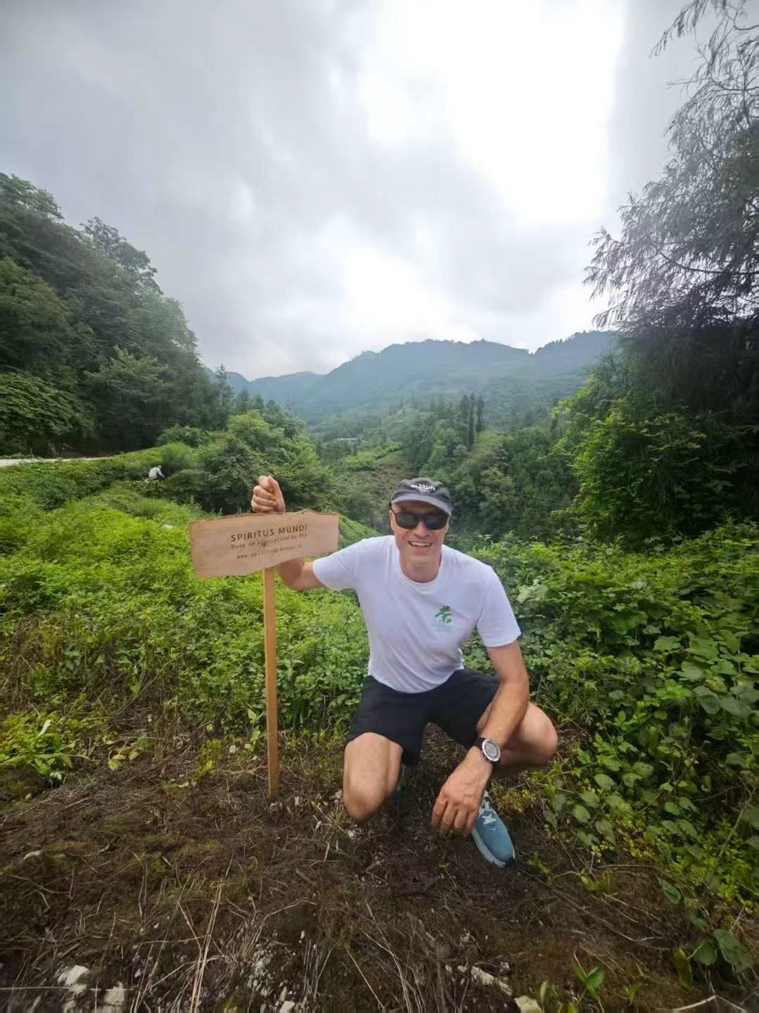 Thé Vert 100g — La pureté végétale des hautes montagnes. Vif, frais et désaltérant.