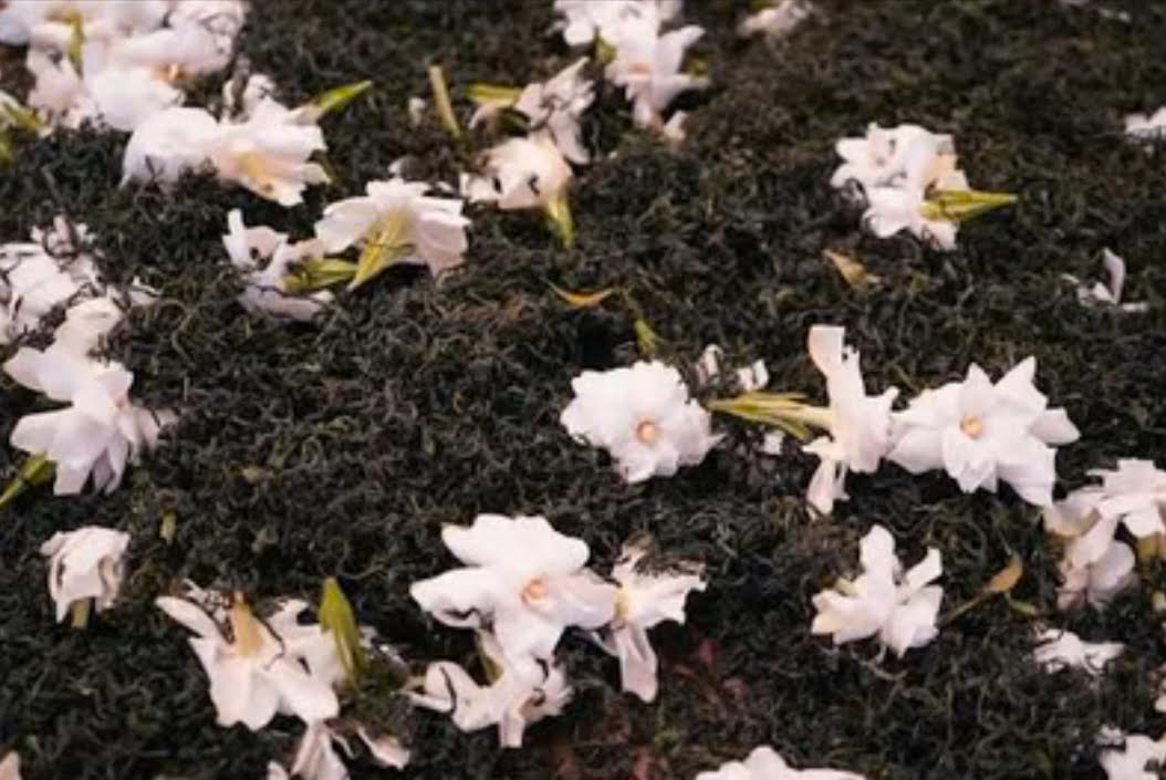 Jardin de Gardénia Thé Noir — 100g — La richesse suave du Gardénia associée à la rondeur du thé noir. Un délice gourmand.