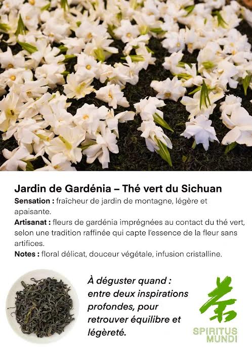 Thé vert Jardin de Gardénia – 10 sachets individuels