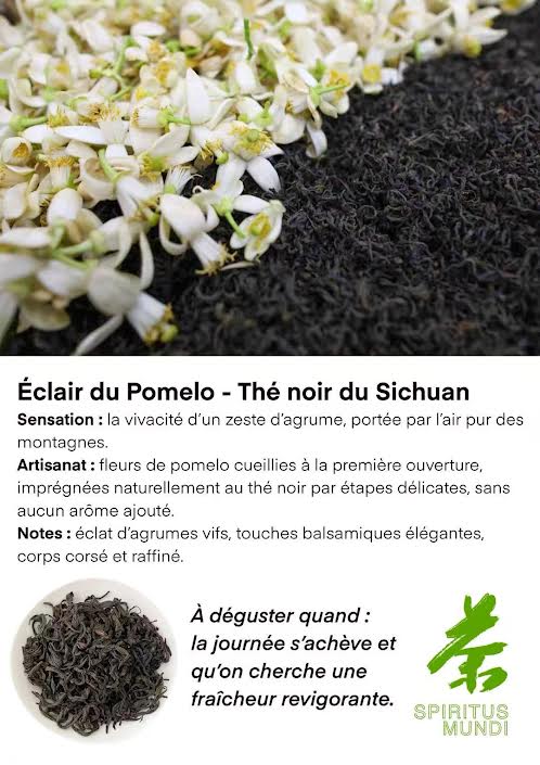 Thé noir Éclair du Pomelo – 10 sachets individuels