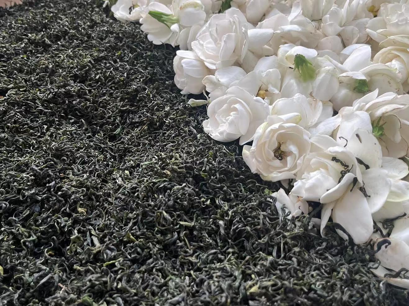 Sichuan Mountain Black Tea Gardenia Garden