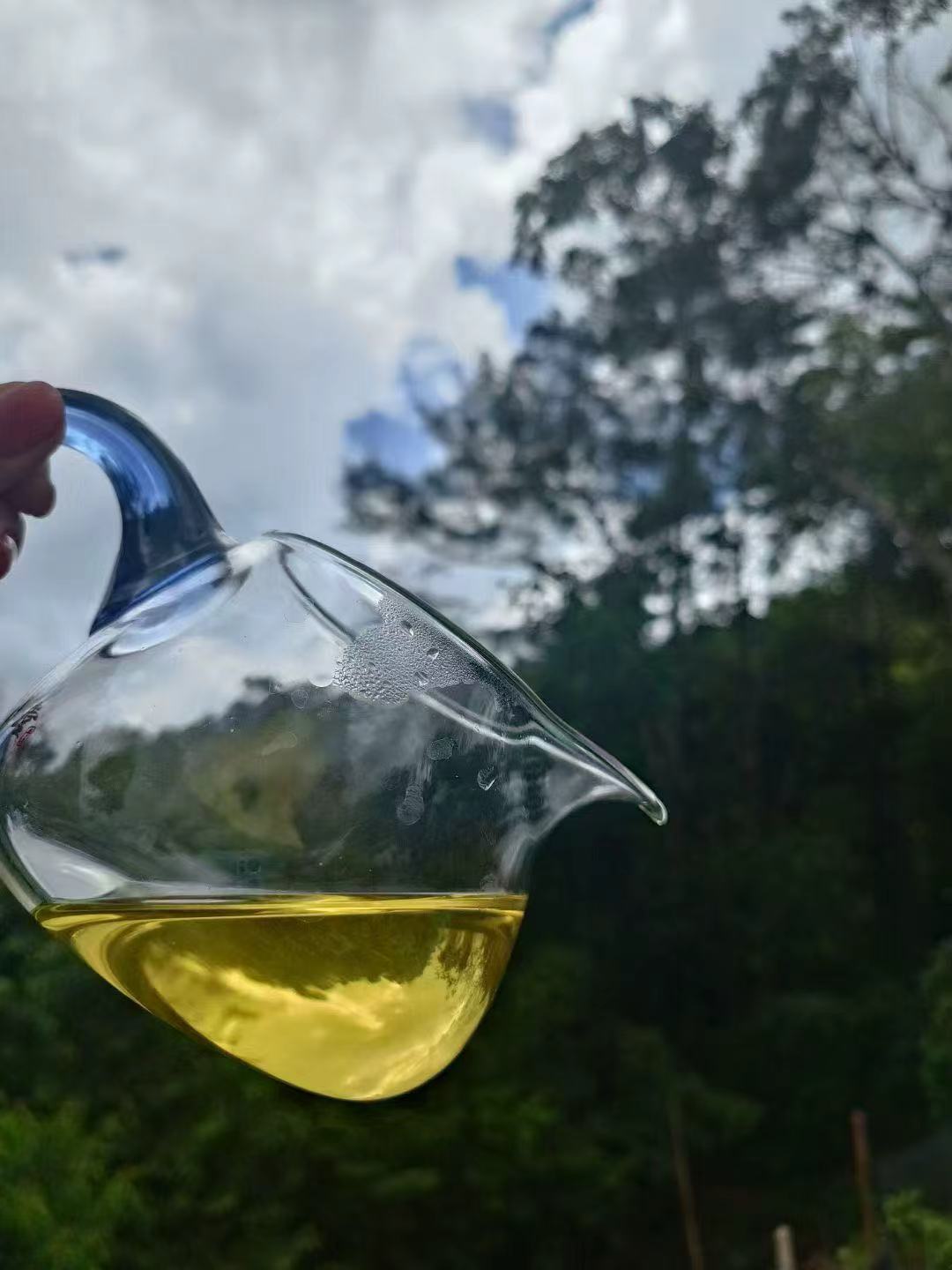 Thé Vert   100g — La pureté végétale des hautes montagnes. Vif, frais et désaltérant.