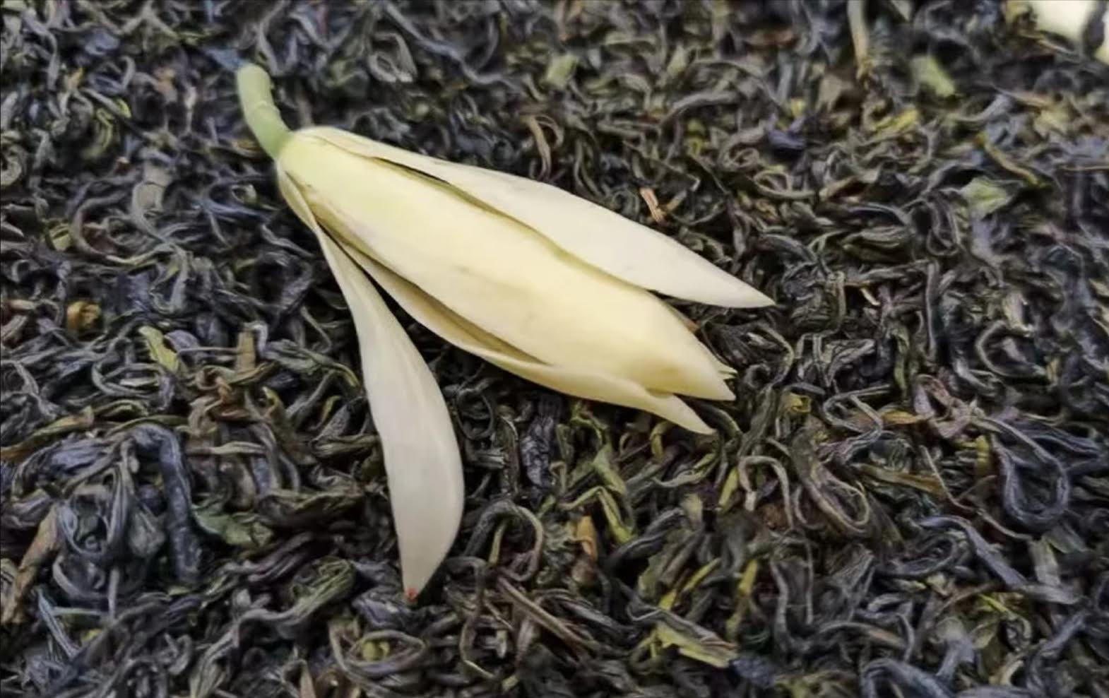 Brume  de  Michélia — Thé Vert  100g  — Une fraîcheur intense, portée par un parfum de banane mûre aux accents floraux et vanillés.