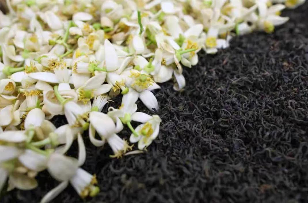 Éclair du Pomelo  — Thé Noir  100g — La puissance rafraîchissante et fruitée du pomelo frais. Un thé vif et éclatant.