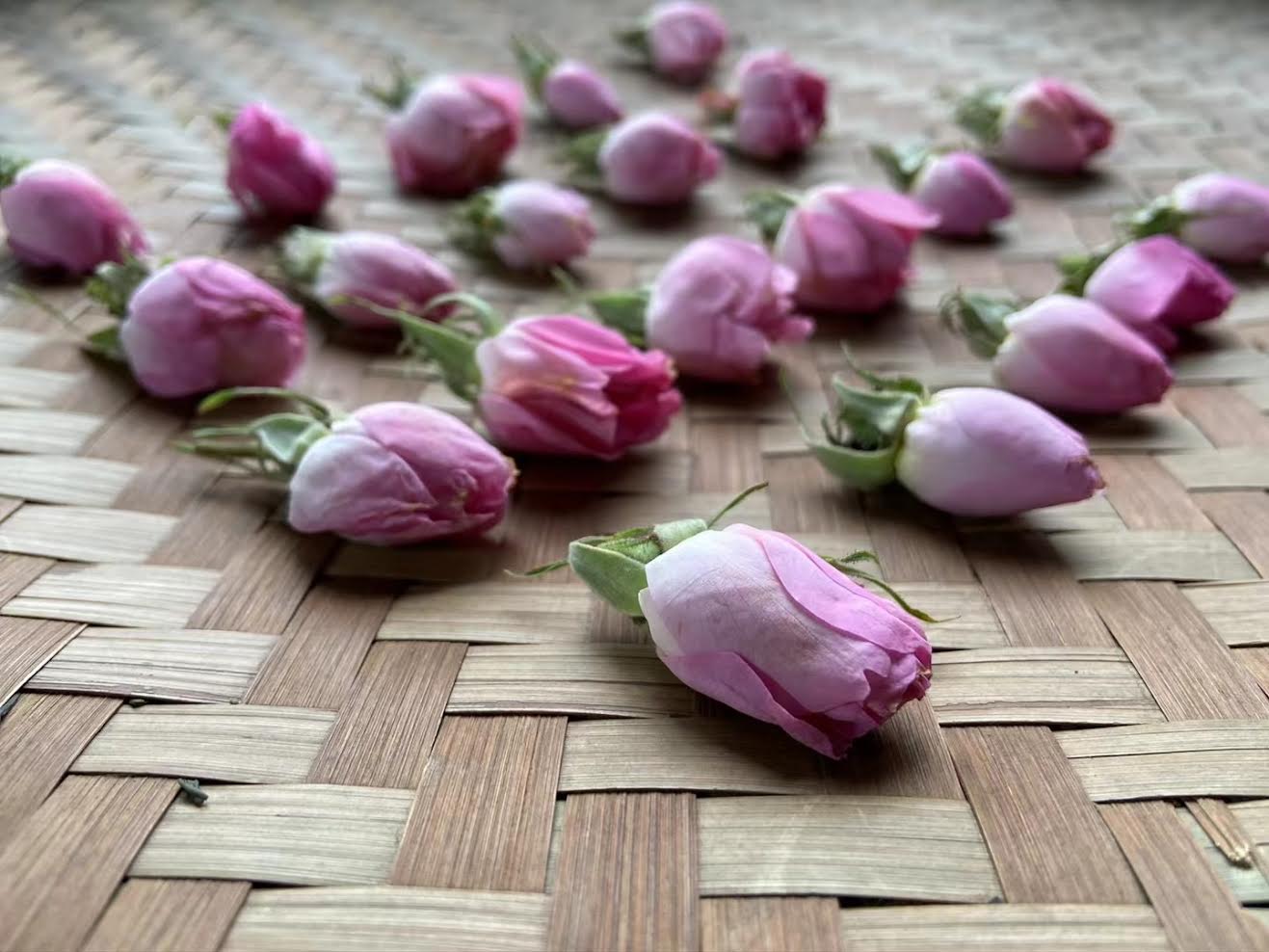 Thé noir floral premium – Reine des Roses